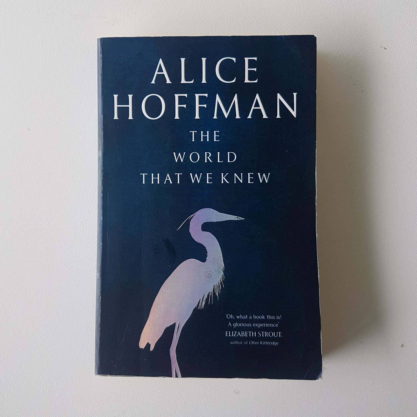 The World That We Knew Alice Hoffman Birch Books