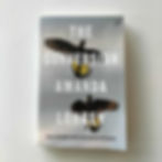 The Conversion Amanda Lohrey Birch Books