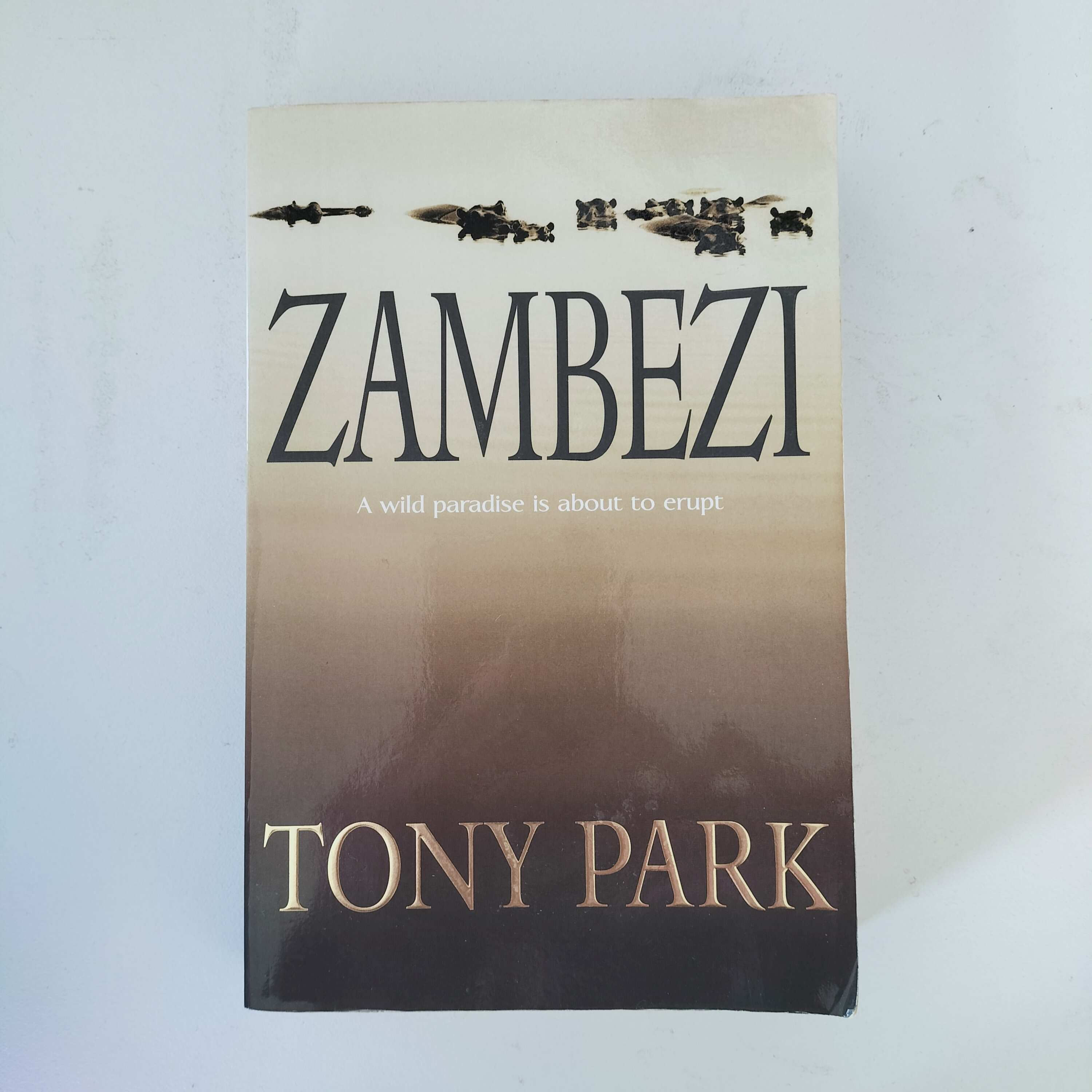 Zambezi  Tony Park  Birch Books