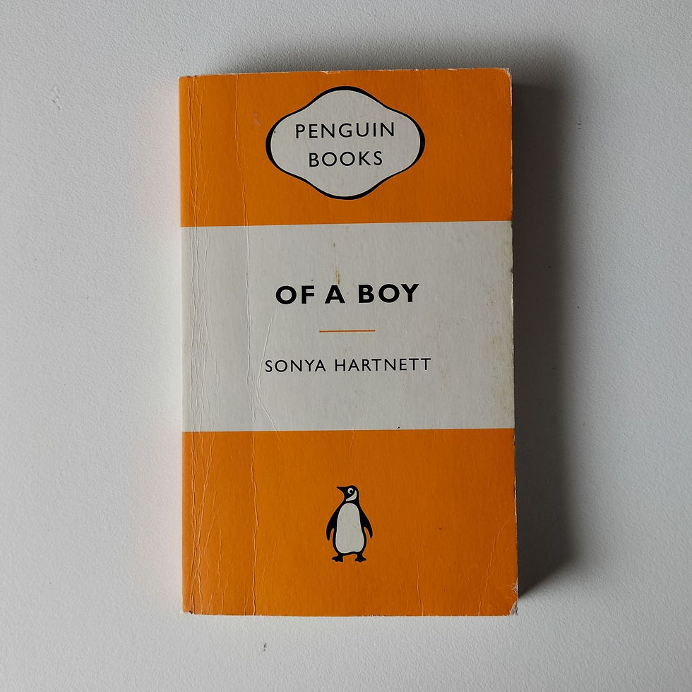 Of a Boy  Sonya Hartnett  Birch Books