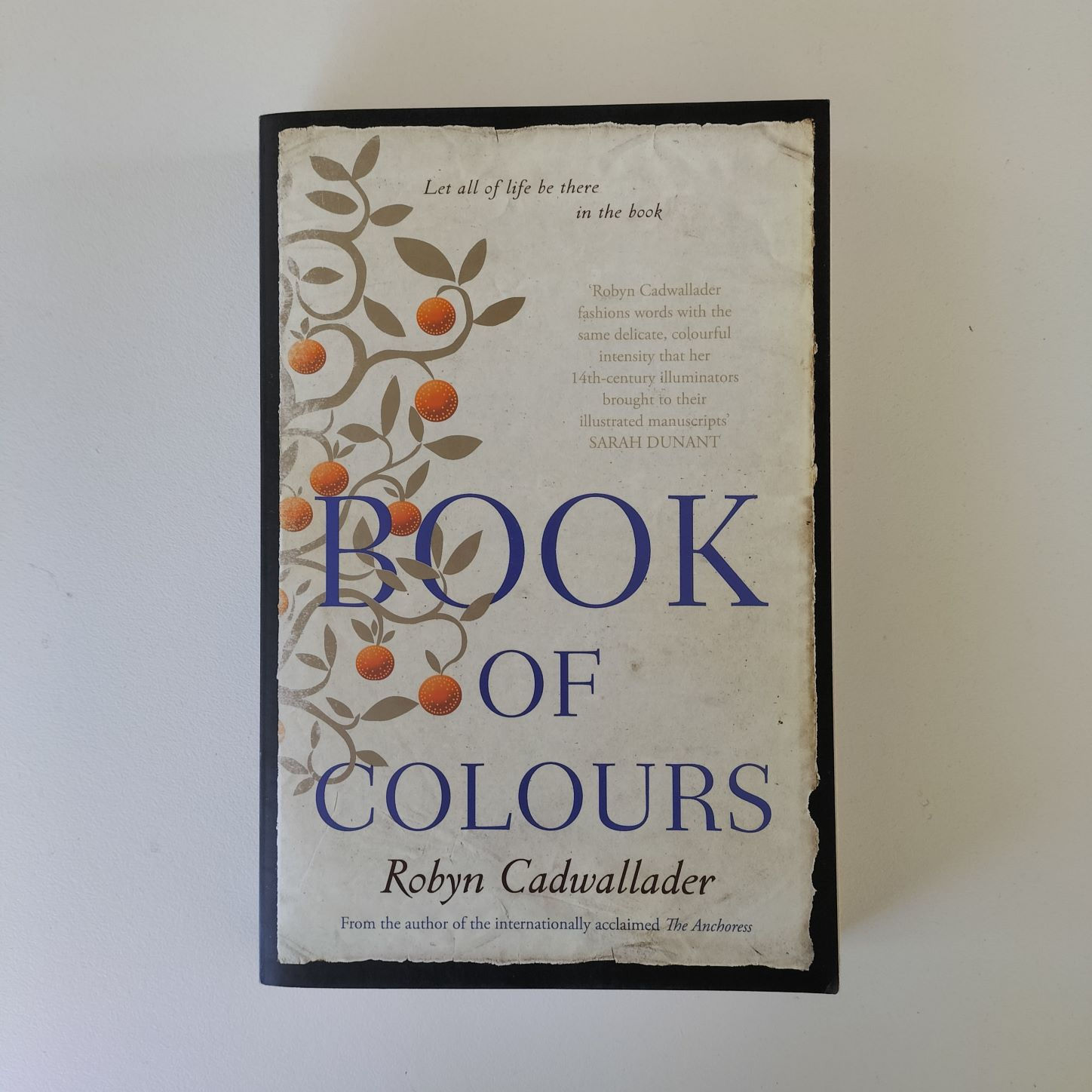 Book of Colours Robyn Cadwallader Birch Books