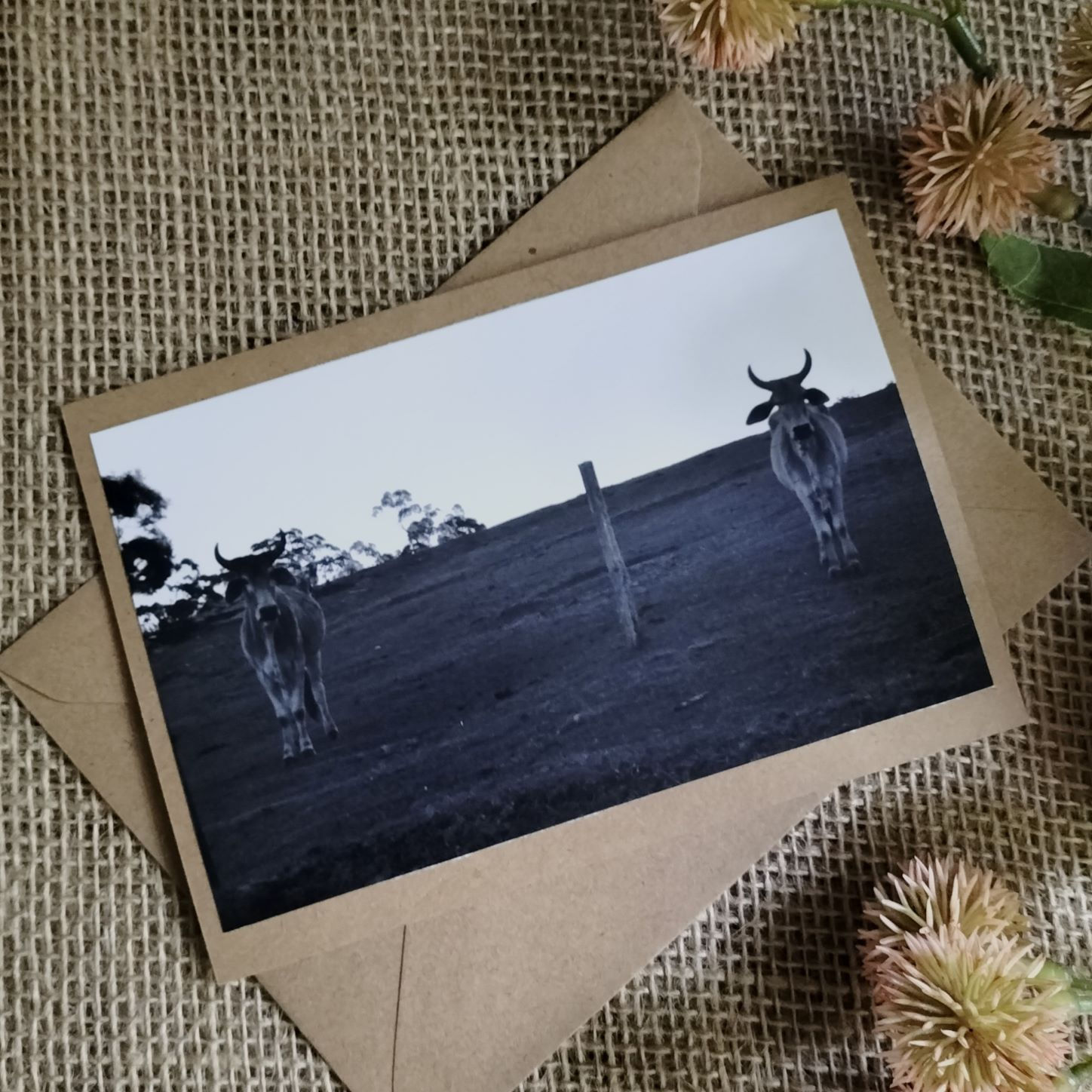 Birch Books Greeting Cards