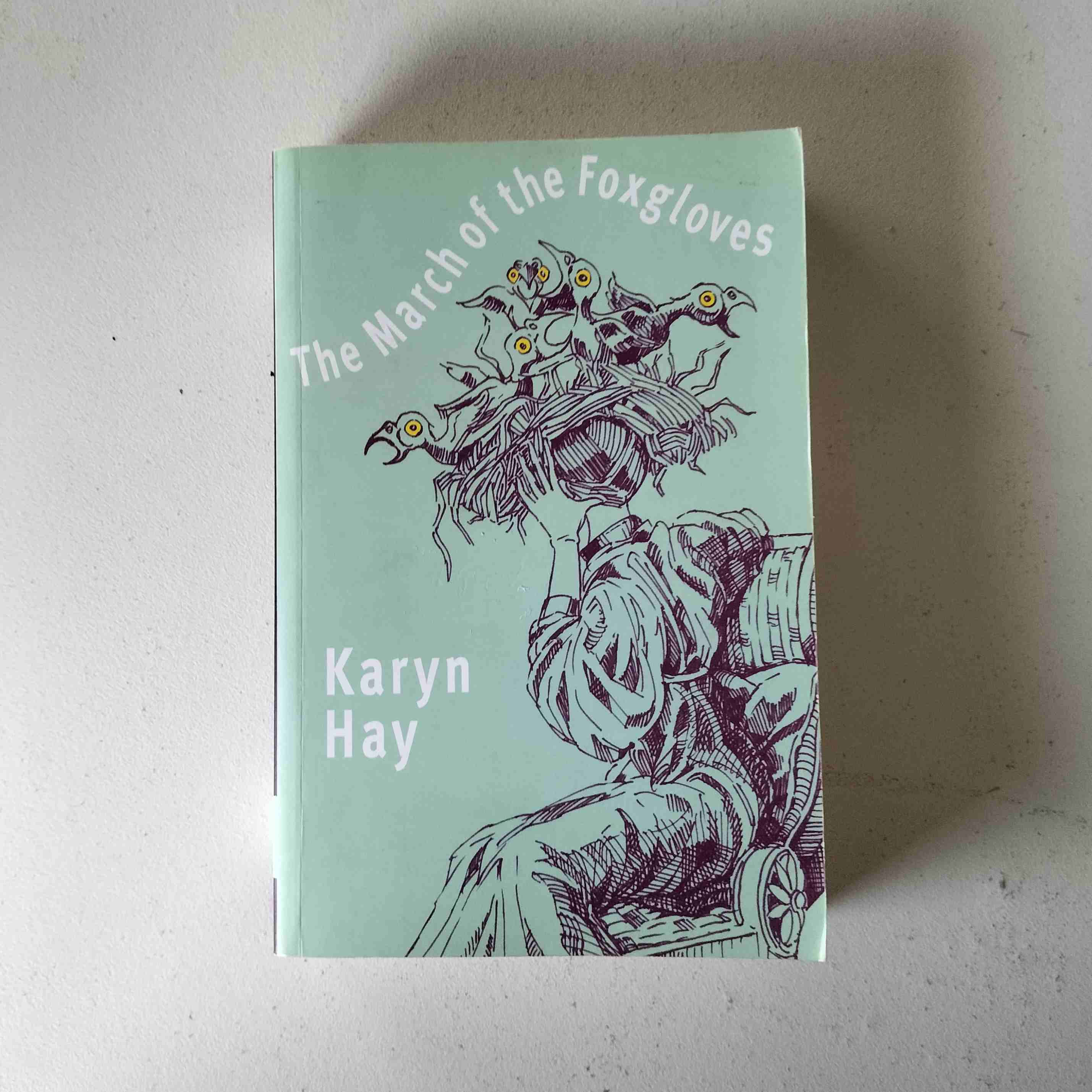 The March of the Foxgloves Karyn Hay Birch Books