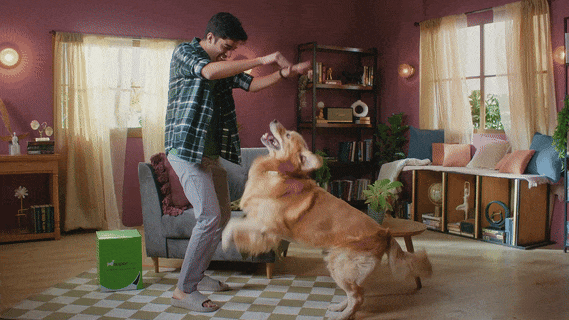 vetconsultation.gif