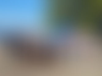 Empowering the Mongolian Community in British Columbia