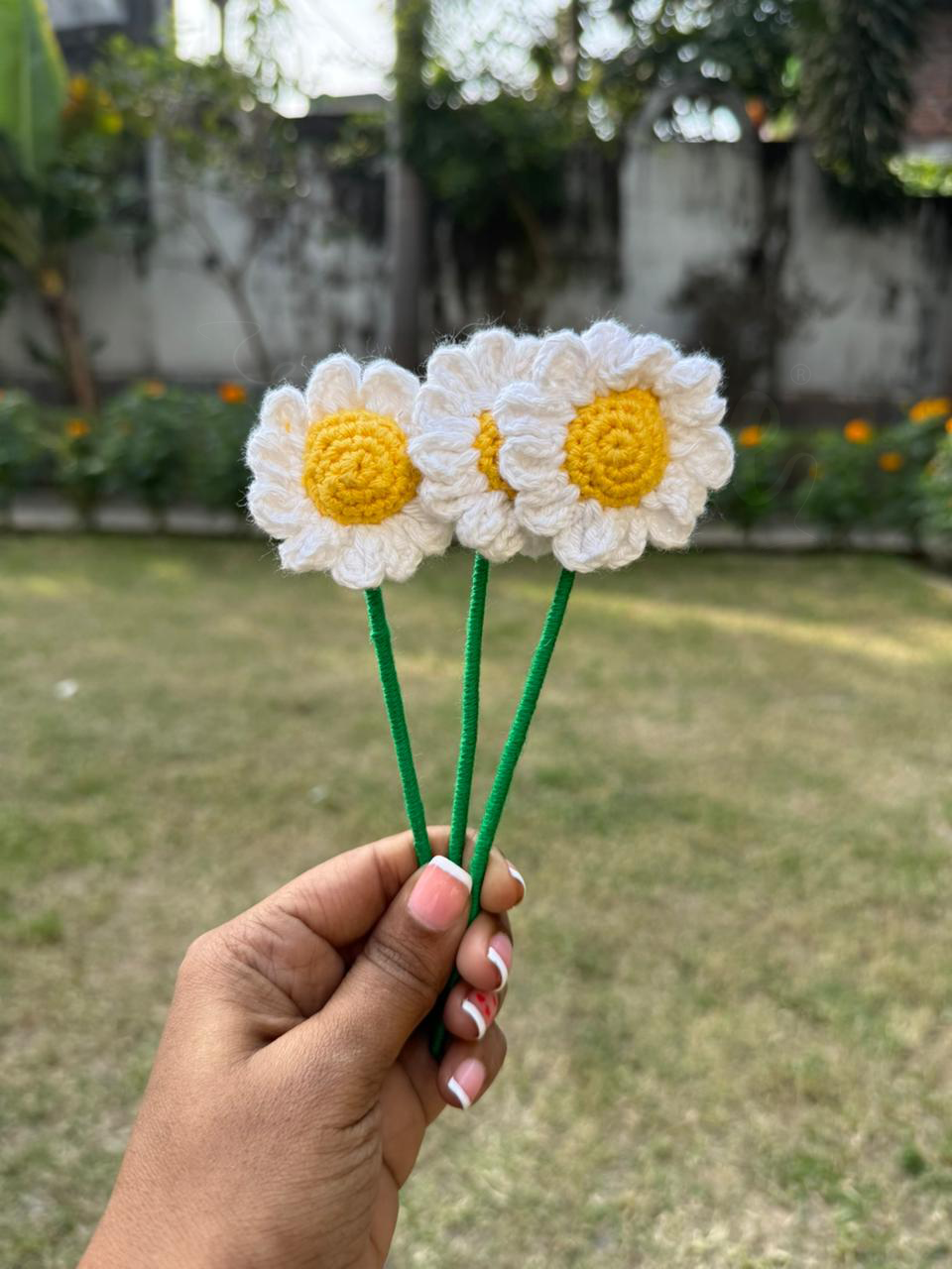 Mini  Daisy Stick