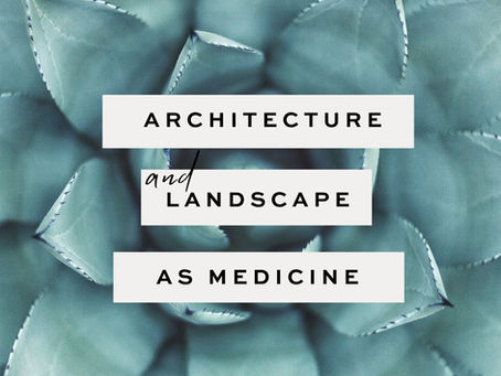 Feng Shui Architecture and Landscape as Medicine