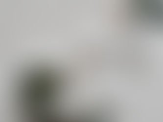 THE IMPORTANCE OF A ZEN ENVIRONMENT