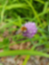 WhatsApp Image 2025-05-07 at 18.31.41(4).jpeg