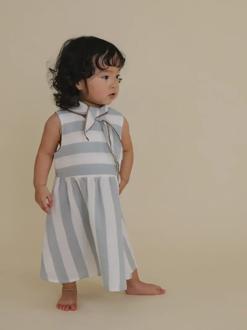 Sardine Stripes Sleeveless Dress