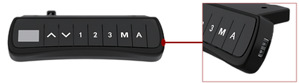 amara_drav_1.png