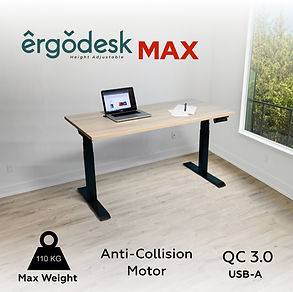 ergodeskMAX_1.jpg