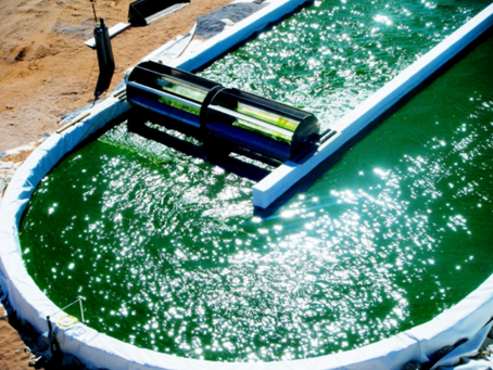 	Proposal of researching biofuels