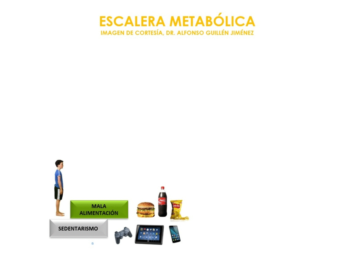 SINDROME METABOLICO.gif