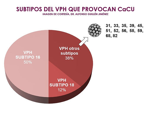 SUBTIPOS VPH.jpg