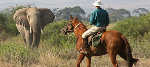 Horse riding in lake Naivasha