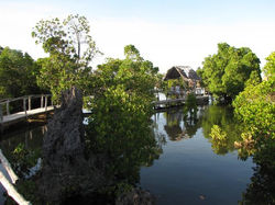 coral garden boardwalk.preview