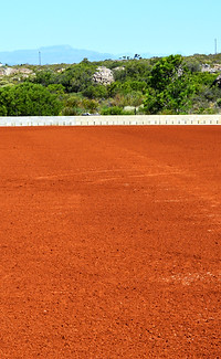 Rooibos-tea-sundrying-on-teacourt.jpg