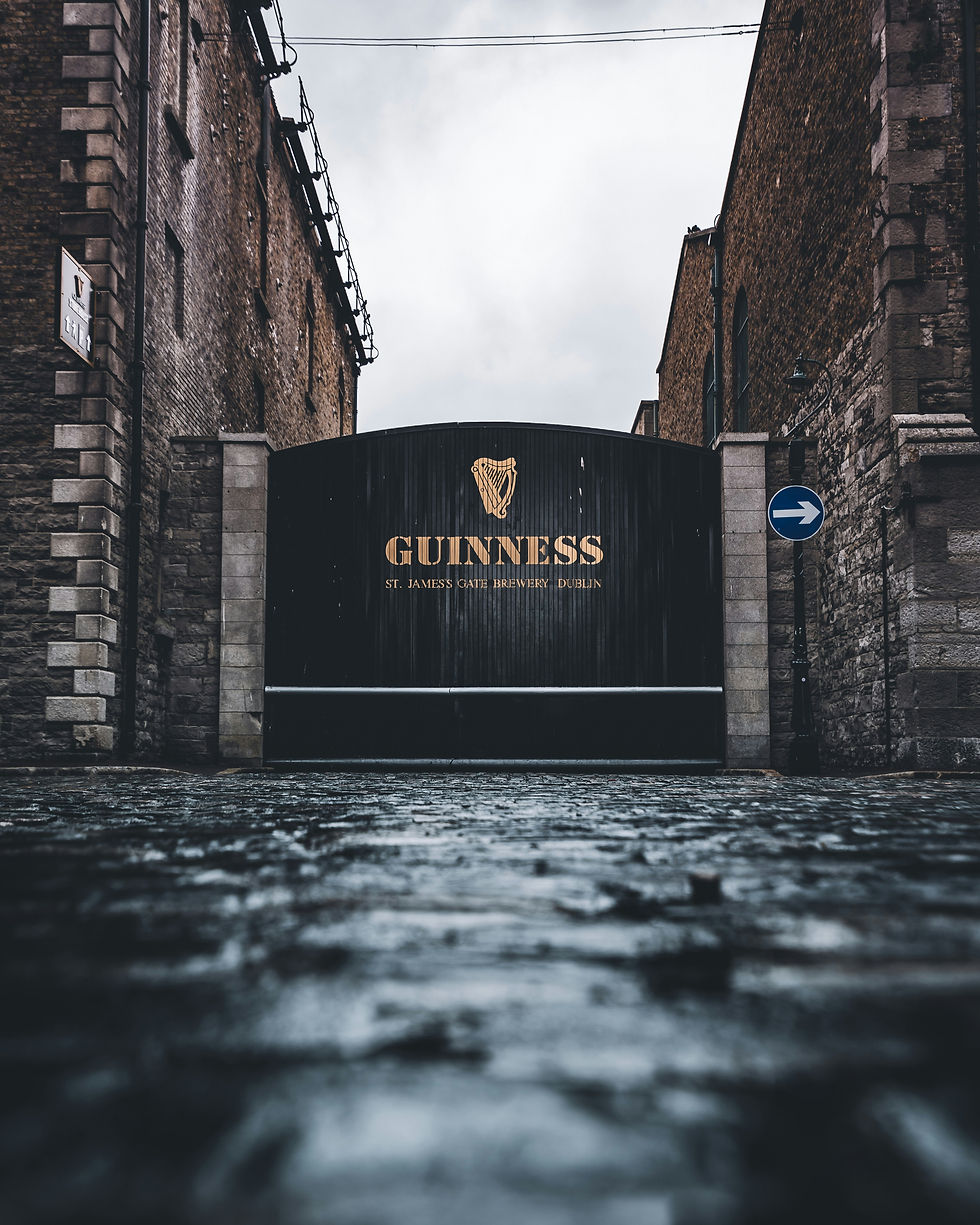 Photo by Philipp Knape on Unsplash