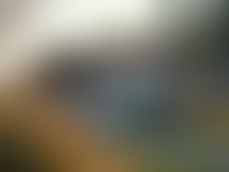 Manufactured Homes Colville: Affordable Living with Quality and Customization