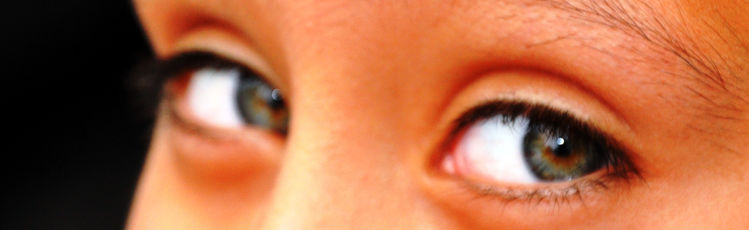 The eyes have it.JPG