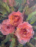Roses, Santa Fe