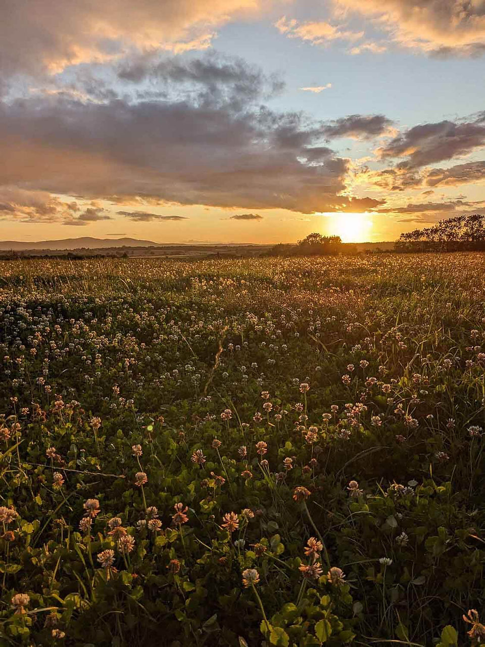 best locations in worcestershire for a photoshoot