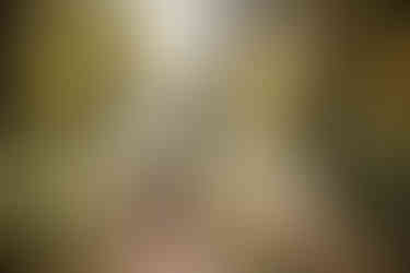 family photoshoot outside in autumn in worcester