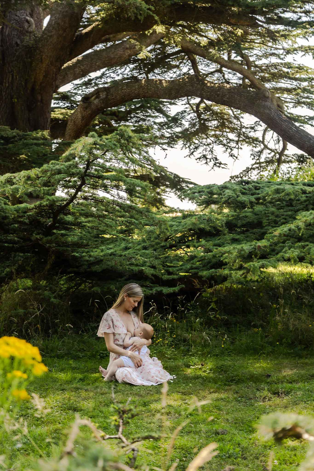 group breastfeeding photoshoot at national trust croome worcestershire with Karina O'Neill Family Photographer