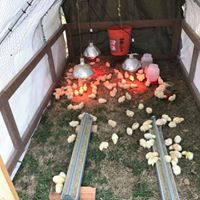 20729177_354742274947421_2235494005400797878_n[1]