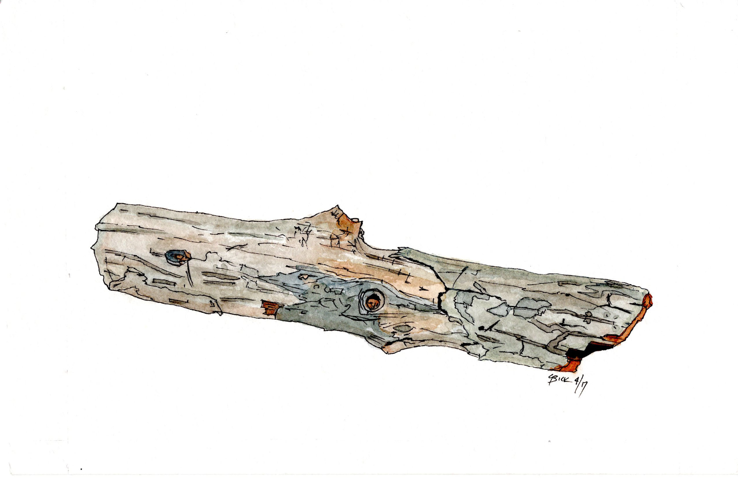 Branch