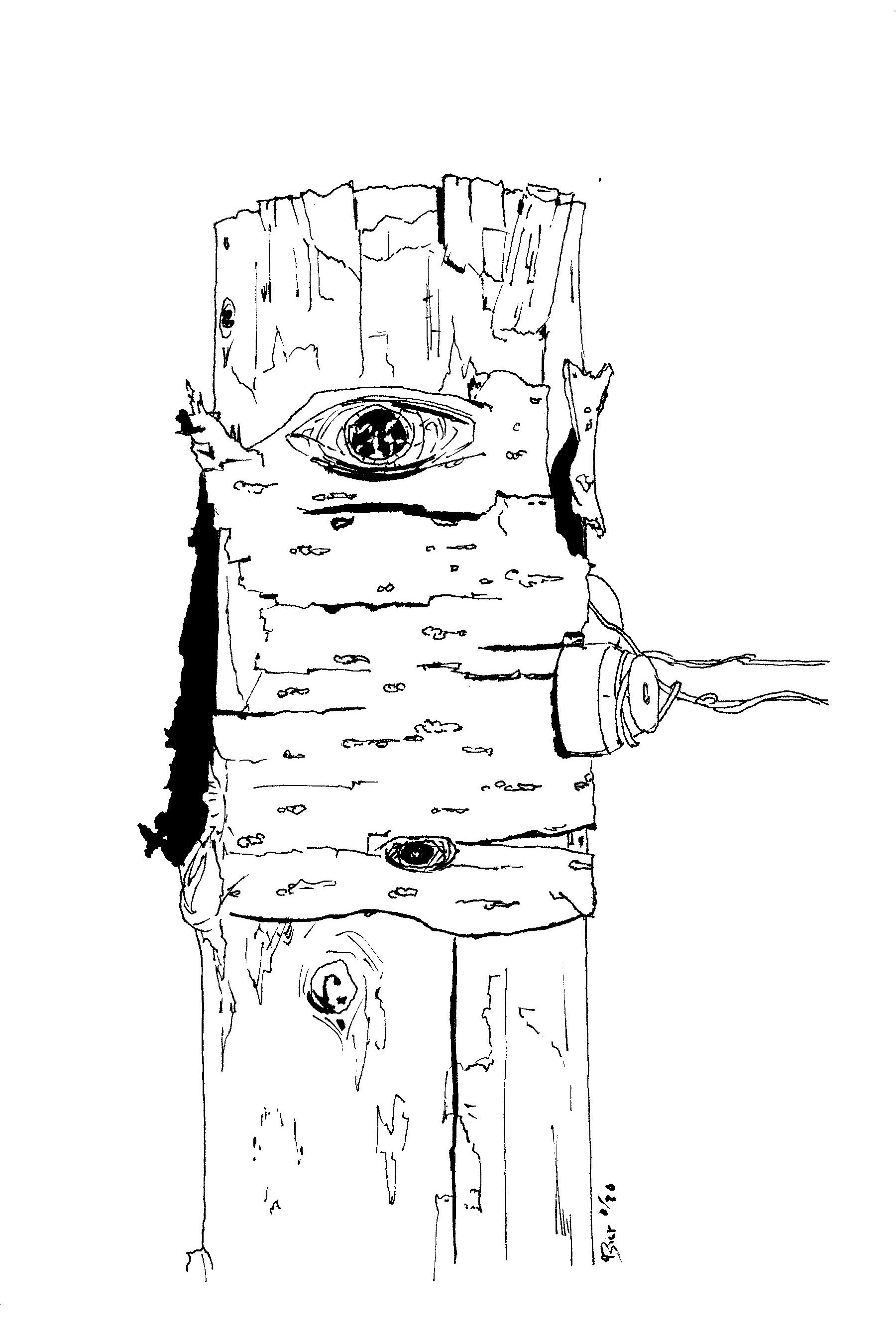 Fence Post #4