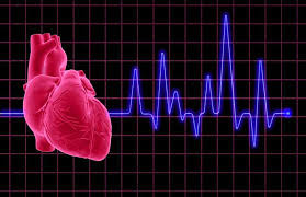 Illuminating Cardiac Disease in Athletes