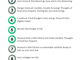 Balancing the Nutritional Intake When Recovering from Injury