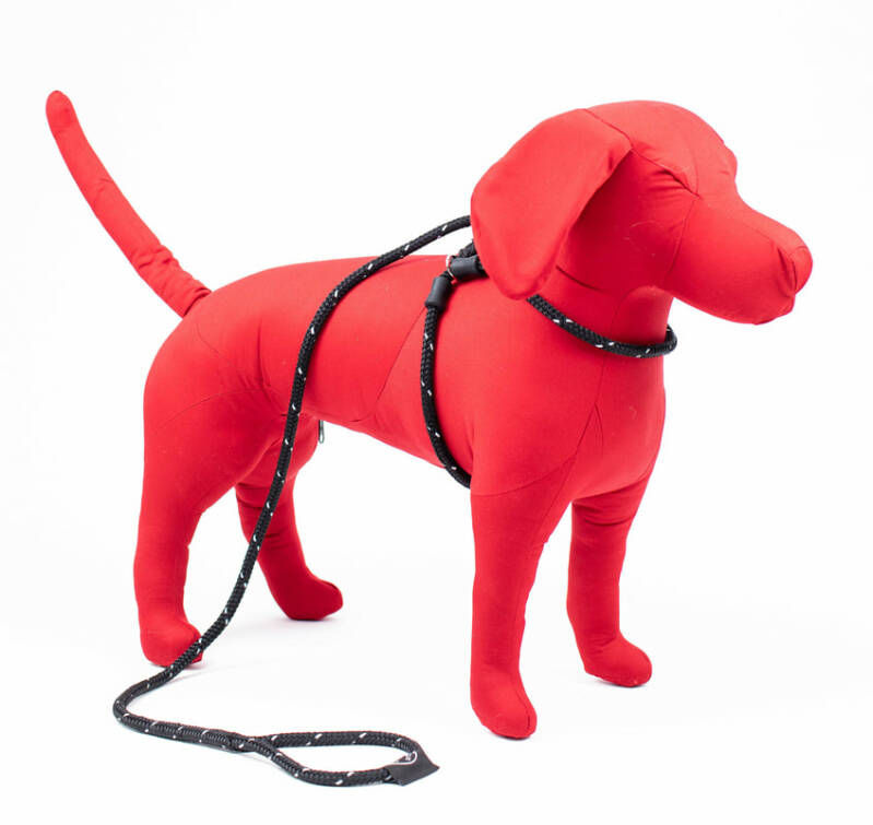harness lead dog leash