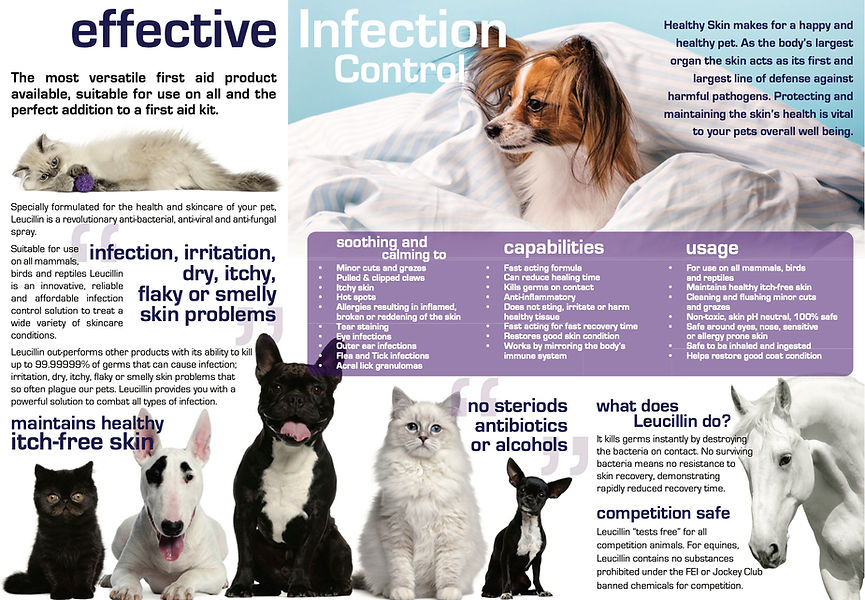Leucillin Antiseptic Skincare