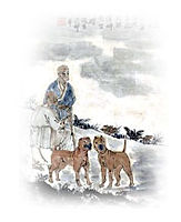 Ancient Shar Pei