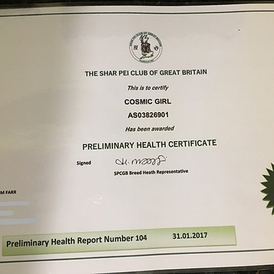 Preliminary Health & Patella Reports