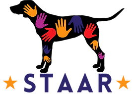 STAAR 2025 LOGO.png