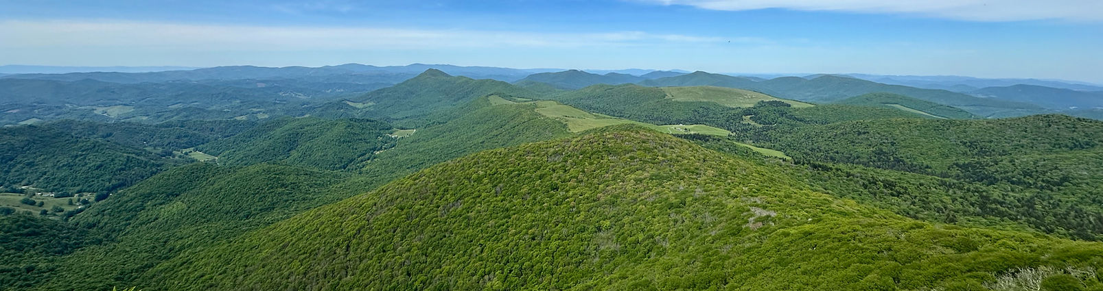 IndivisibleElkPark_edited.jpg
