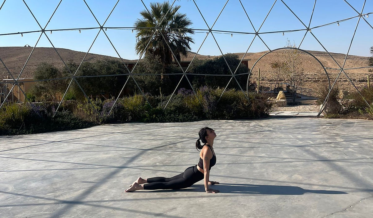 WhatsApp Image 2025-02-02 at 17_edited.jpg