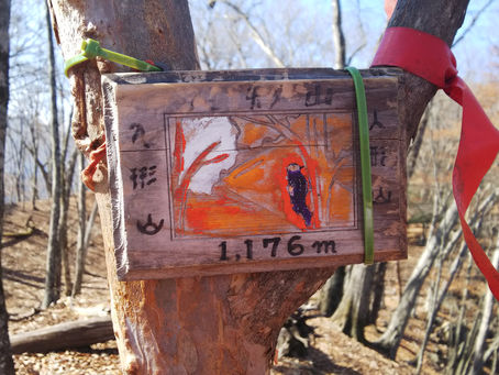 個人山行 奥多摩・酉谷山~天目山