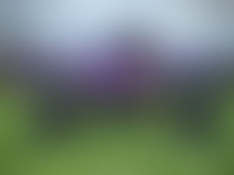 Celebrating 25 years of Slingshot  