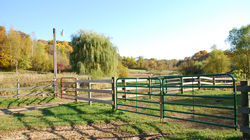 Crossing Gates