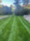 Green Lawn.JPEG