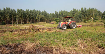 Field.JPG