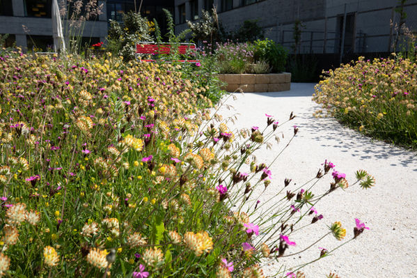 Alters- und Pflegeheim Wattenwil