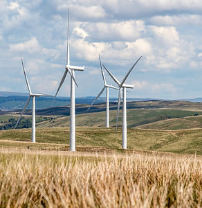 wind-energy-7342177_1920_edited.jpg
