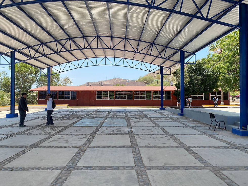 photo_5141148361406131363_y