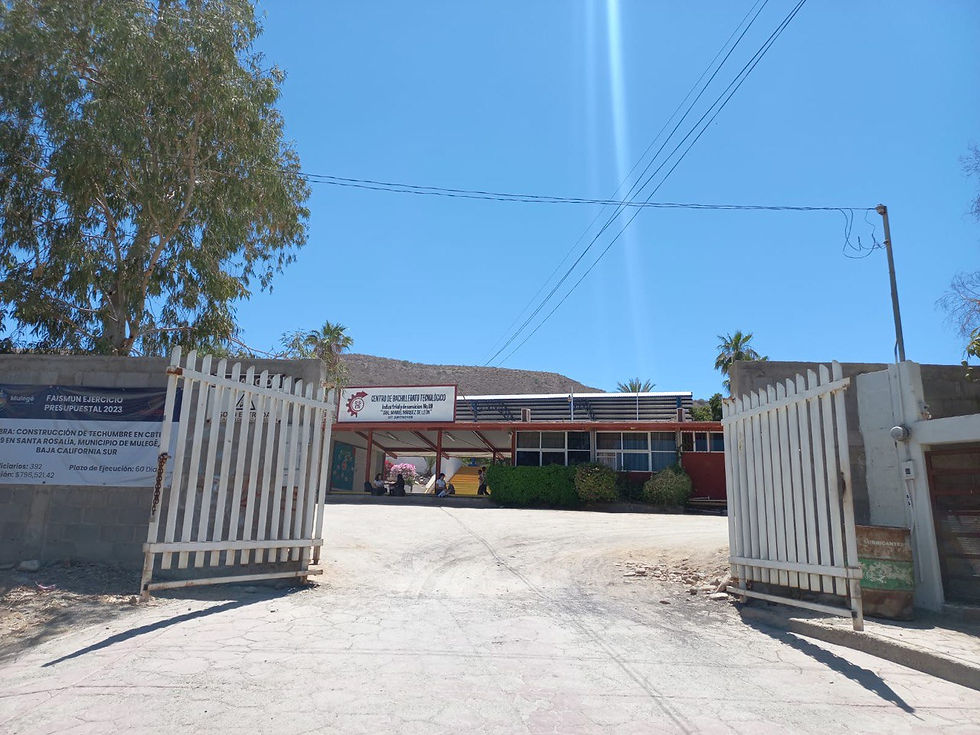 photo_5141317372664197221_y